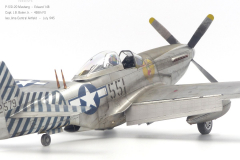 P-51D-20-Mustang-1030830