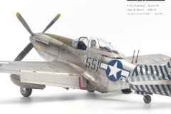 P-51D-20-Mustang-1030840