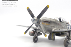 P-51D-20-Mustang-1030842