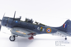 SBD-5-Dauntless_P1010993