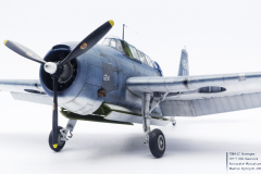 TBM-1C Avenger_P1020013